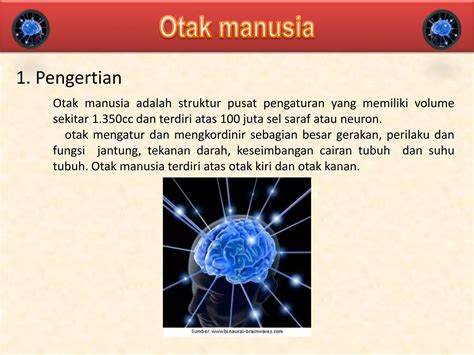 Presentasi Mengenai Otak Manusia Ppt