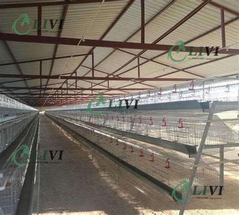 Hot Galvanized Poultry Battery Farm Automatic Layer Chicken Cages Type