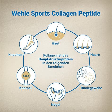 Kollagen Pulver Premium Collagen Hydrolysat Peptide Von Wehle Sports