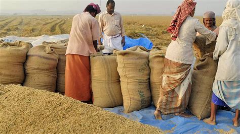 Agri Market Advocates For Lifting India S Rice Trade Restrictions