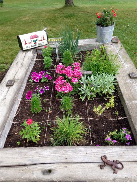 Pin By Janice Johnson On Square Foot Gardening Square Foot Gardening Plants Square Feet