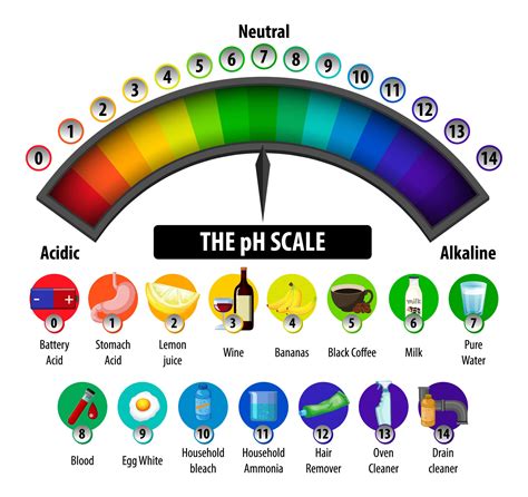 PH Scale Facts for Kids - 5 Super Facts about PH Scale - LearningMole