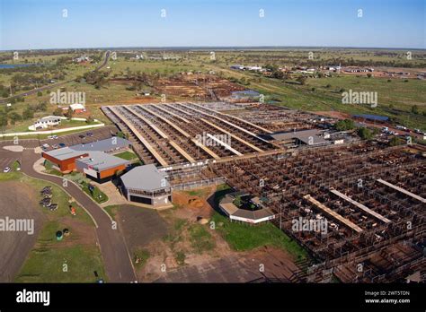 Aerial Of The Roma Saleyards Australias Largest Cattle Selling Centre