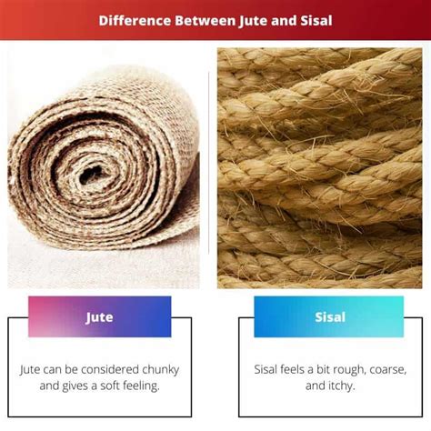 Jute Vs Sisal Difference And Comparison