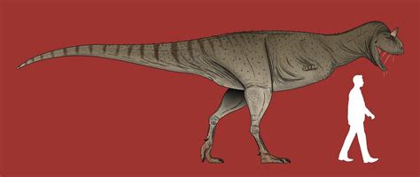 Carnotaurus Size Comparison