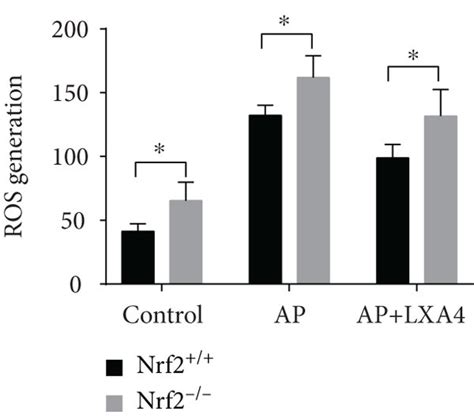 Knocking Out Nrf Partially Abolished The Anti Inflammatory And