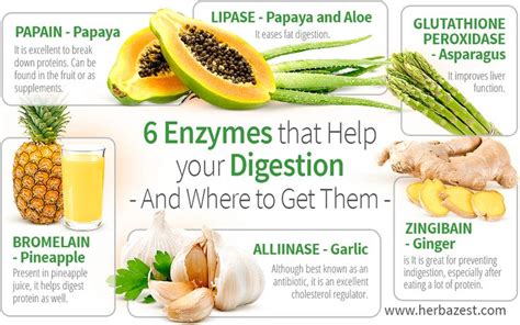 Peroxidase In Vegetables