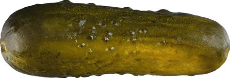 Pickle Png Hd Transparent Pickle Hdpng Images Pluspng