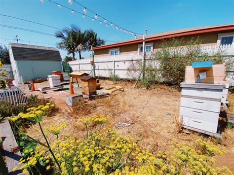 MY BACKYARD APIARY DESIGN - Beekeeping Like A Girl