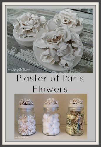 Plaster Of Paris Flowers | Hometalk