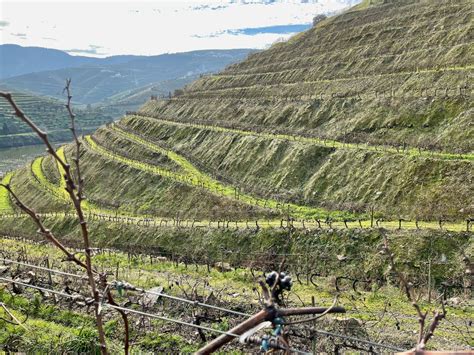 Terraces Soil Conservation And The Douro Region Of Portugal