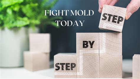 A Closer Look At Dry Fog Mold Removal Mold Zero LLC