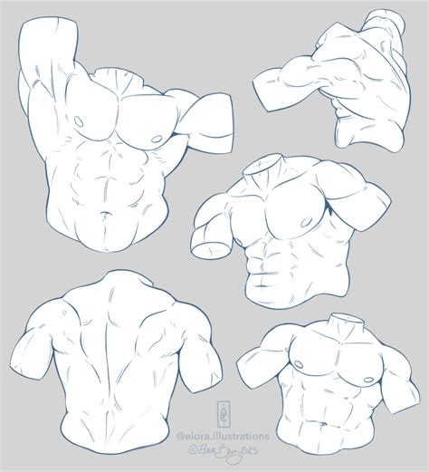 Artstation Male Torso Study