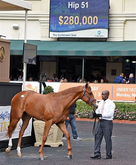 Ocala Stud Thoroughbred Stallion Farm