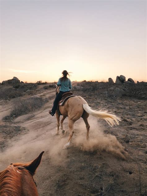 Horse Riding Photos, Download The BEST Free Horse Riding Stock Photos ...