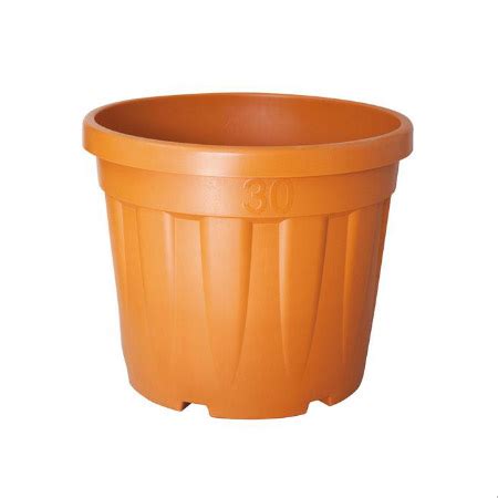 Pbe Srl Vaso Vivaio Tipo Fenice