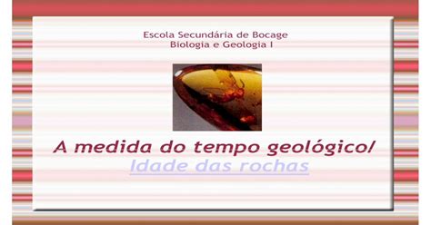 Tempo Geológico Fósseis Estratigrafia Pdf Document