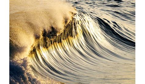 The Wedge Californias Mutant Wave The Inertia