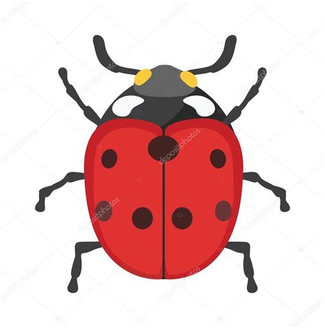 Linda Mariquita De Dibujos Animados Vector Insecto Aislado Sobre Fondo