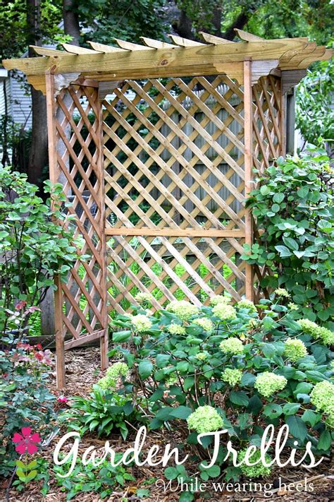 While Wearing Heels: DIY Garden Trellis