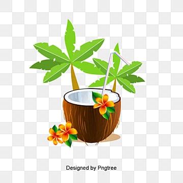 Hawaii PNG Transparent Images Free Download | Vector Files | Pngtree