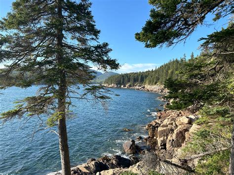 gallery acadia tammys adventures portfolio