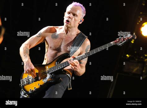 Bassist Michael Flea Balzary Of The Us Band Red Hot Chili Peppers Performs On Stage At The