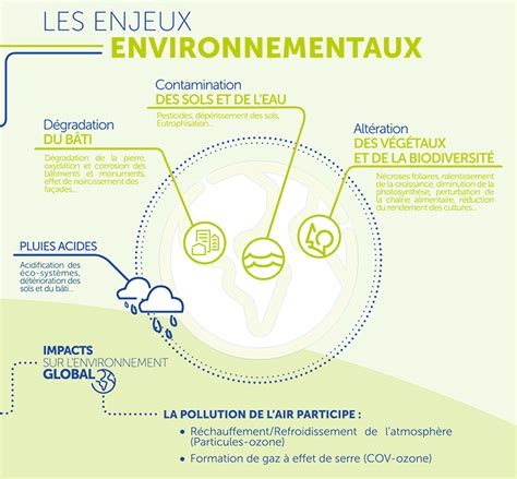 Les Effets De La Pollution De Lair Sur Lenvironnement Atmo Nouvelle