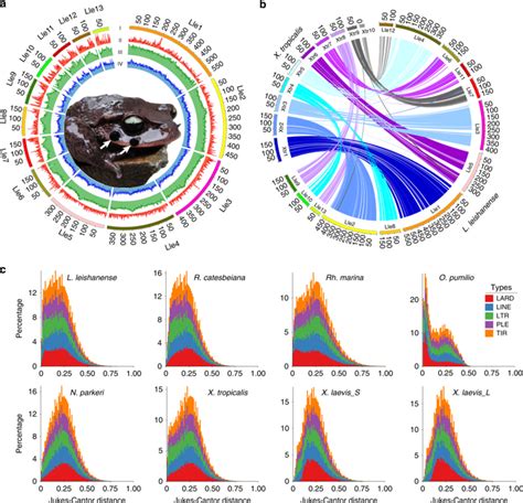 Genomic And Transcriptomic Insights Into Molecular Basis Of Sexually