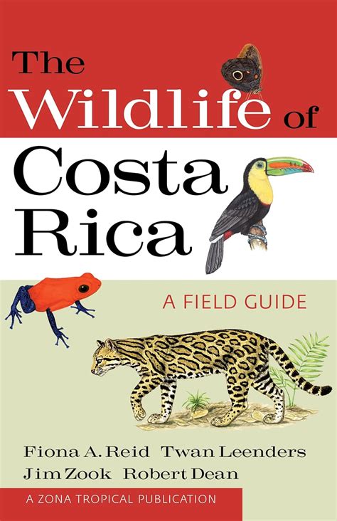 Amazon The Wildlife Of Costa Rica A Field Guide A Zona Tropical