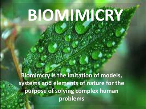 Biomimicry Ppt