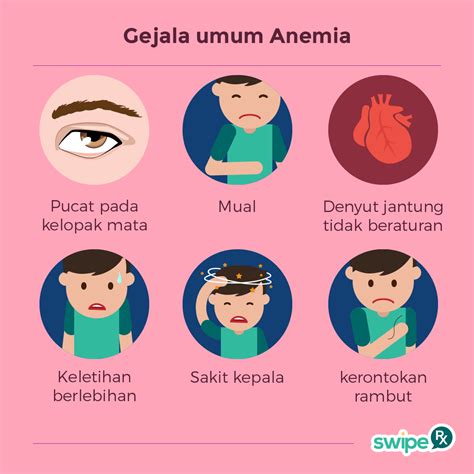 Apa Itu Anemia Swiperx