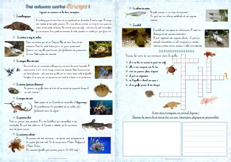 Fiches Documentaires Sur Les Animaux Avec Questions Primaire