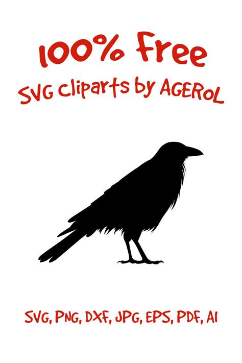 The Crow SVG Crow SVG Clipart Raven SVG Clipart 100 Free Bird SVG