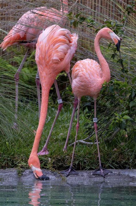 Link 9 16 2025 Naked Capitalism Blog Nidoproject