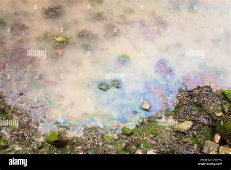 Inquinamento Da Idrocarburi In Mare Immagini E Fotografie Stock Ad Alta