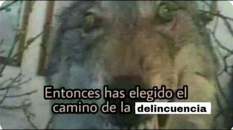 Entonces Has Elegido El Camino De La Delincuencia Youtube