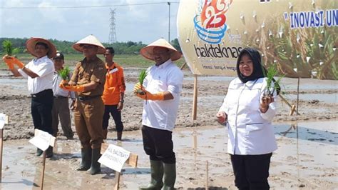 Foto Kemenristekdikti Tingkatkan Kemampuan Petani Dengan Teknologi IPAT BO