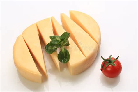 Different Types of Cheese Slices Stock Image - Image of basil, leaf ...