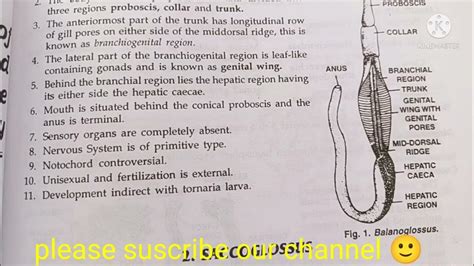 balanoglossus classification, habitat and comments zoology practical ...