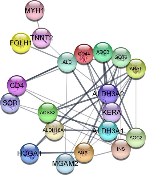 Protein Protein Interaction Networks Were Constructed By String