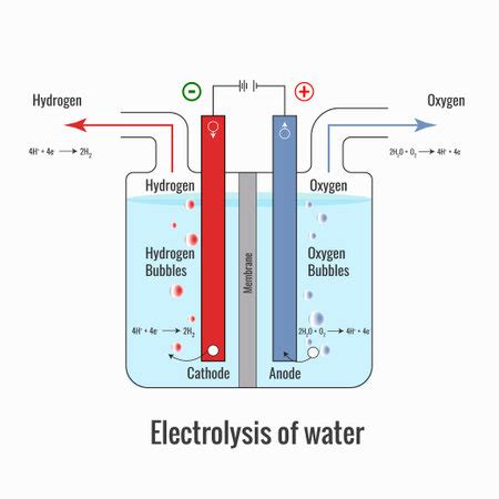 Ilustraci N Del Electrolysis Of Water Labeled Id Imagen