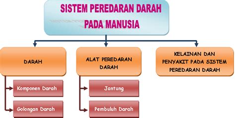 Catatan Ipa Smp Sistem Peredaran Darah Pada Manusia