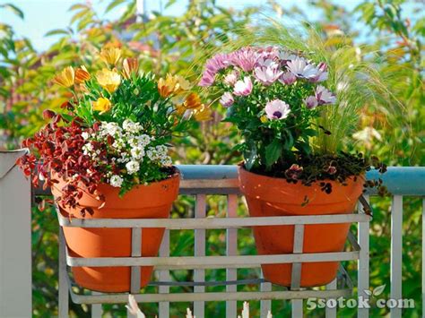 Какие бывают контейнеры для выращивания цветов