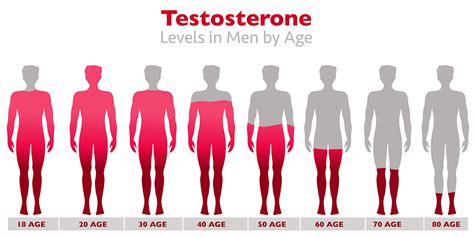 Using Natural Supplements To Increase Testosterone Levels