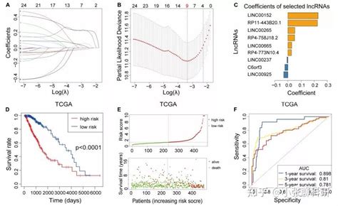 文献详解m6a相关lncrna生信挖掘套路解析 知乎