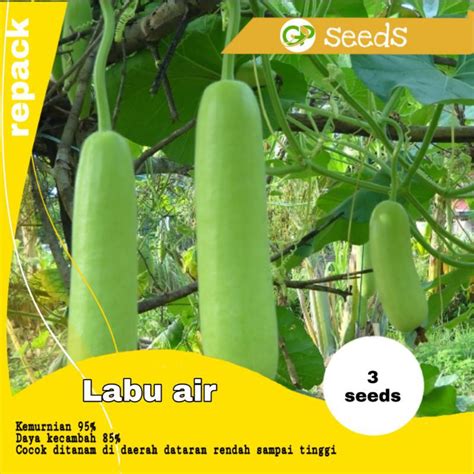 Jual Benih Labu Air Ruma F Bibit Labu Air Benih Labu Air Panah