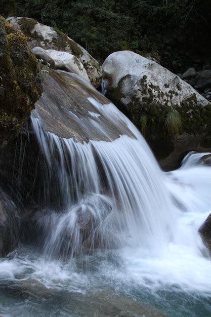 Premium Photo | A waterfall in the forest of the black mountains