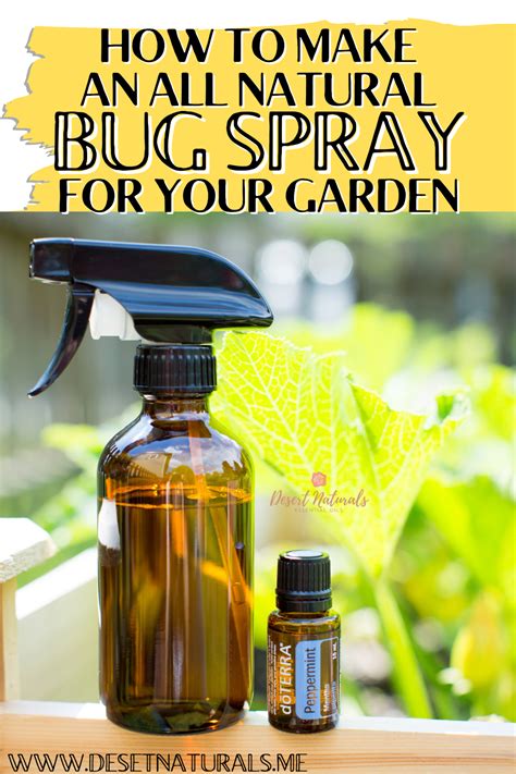 Essential Oil Bug Spray With Bottle Of Doterra Peppermint Essential Oil