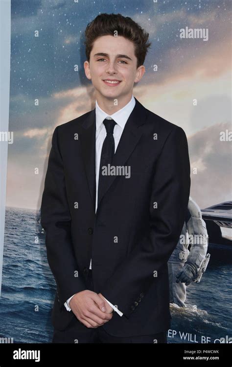 Timothée Chalamet Interstellar Jorgereilie